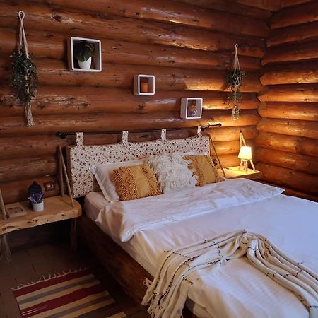 Cabana Rustic Balea Кирцишоара Екстер'єр фото