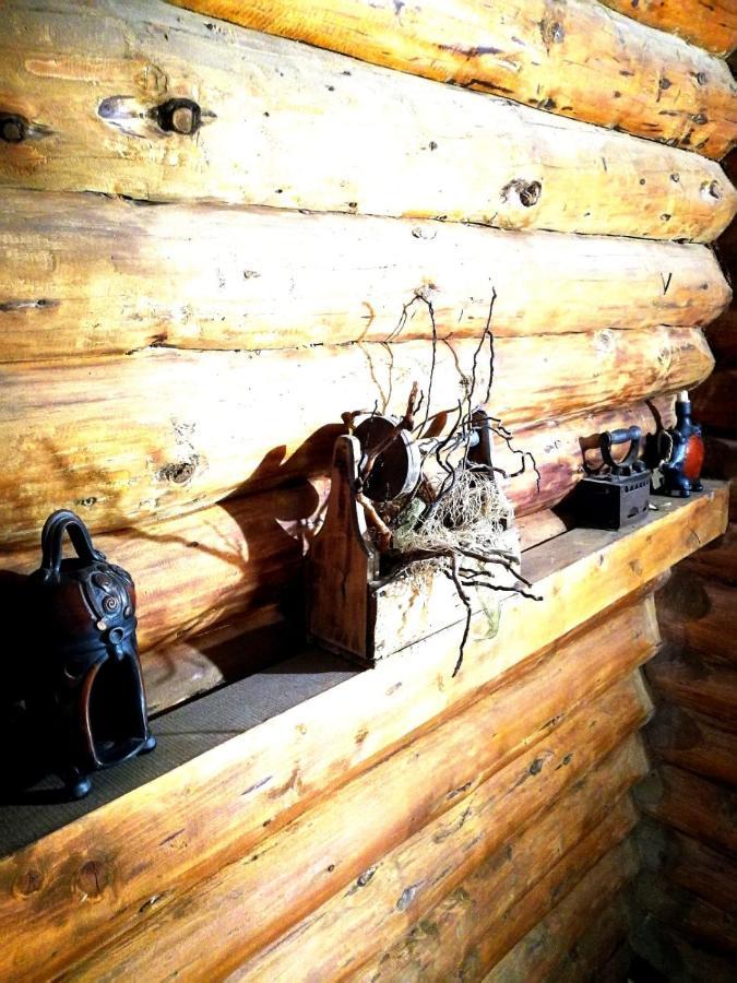 Cabana Rustic Balea Кирцишоара Екстер'єр фото