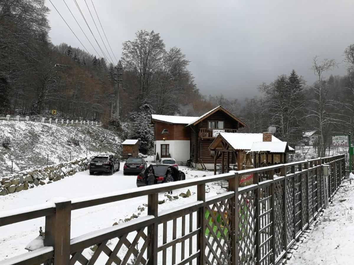 Cabana Rustic Balea Кирцишоара Екстер'єр фото