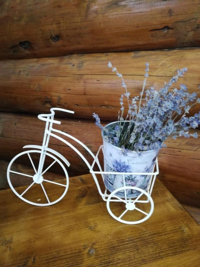 Cabana Rustic Balea Кирцишоара Екстер'єр фото