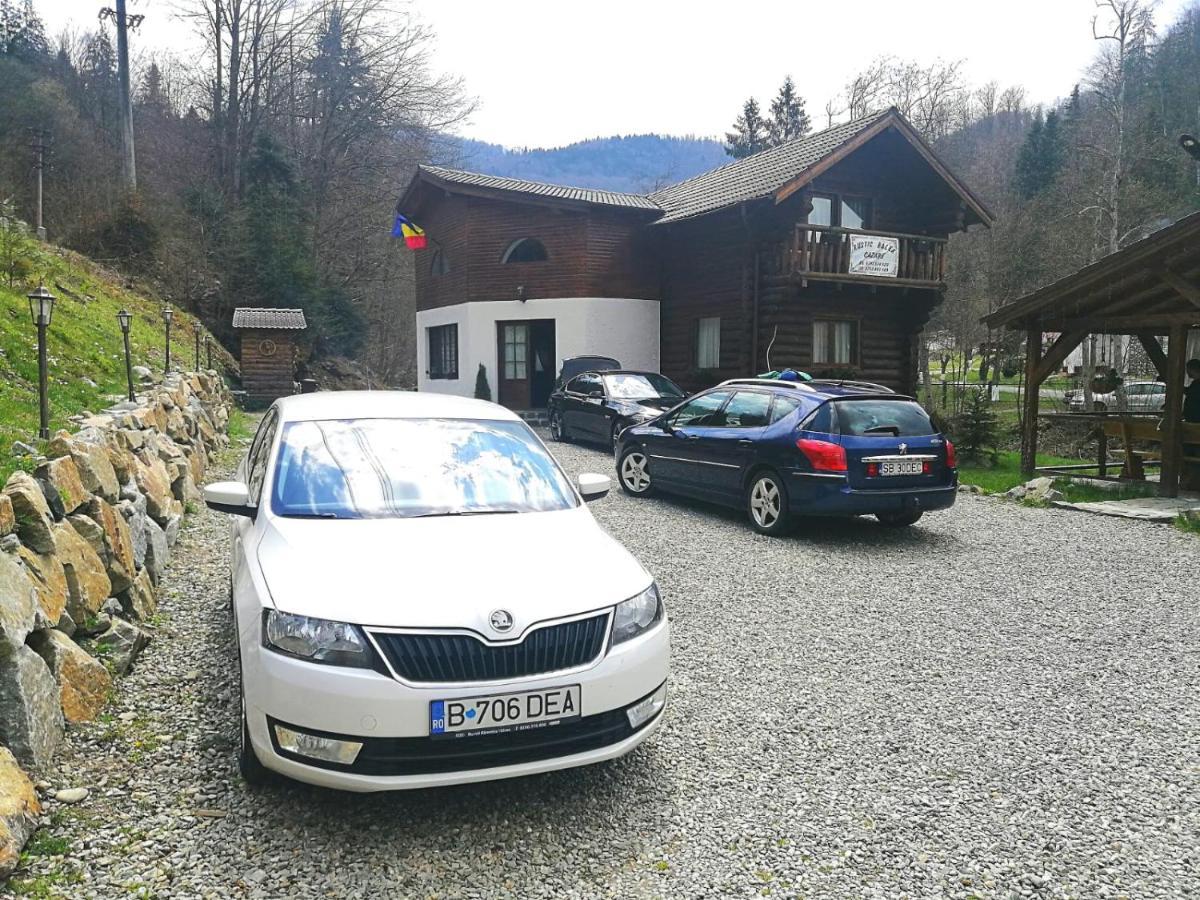 Cabana Rustic Balea Кирцишоара Екстер'єр фото