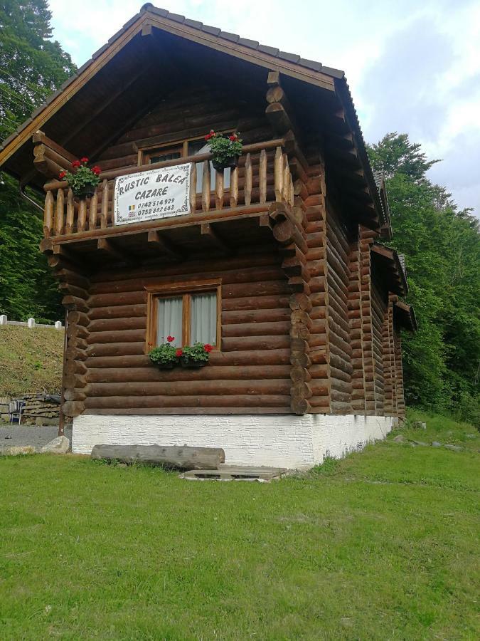 Cabana Rustic Balea Кирцишоара Екстер'єр фото