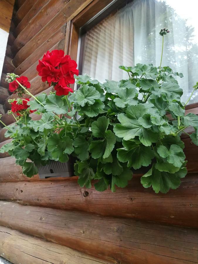 Cabana Rustic Balea Кирцишоара Екстер'єр фото
