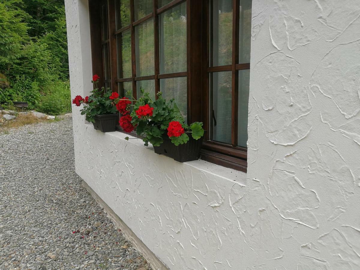 Cabana Rustic Balea Кирцишоара Екстер'єр фото