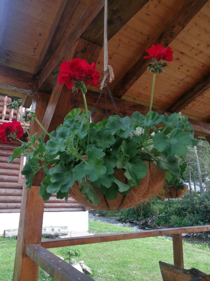 Cabana Rustic Balea Кирцишоара Екстер'єр фото