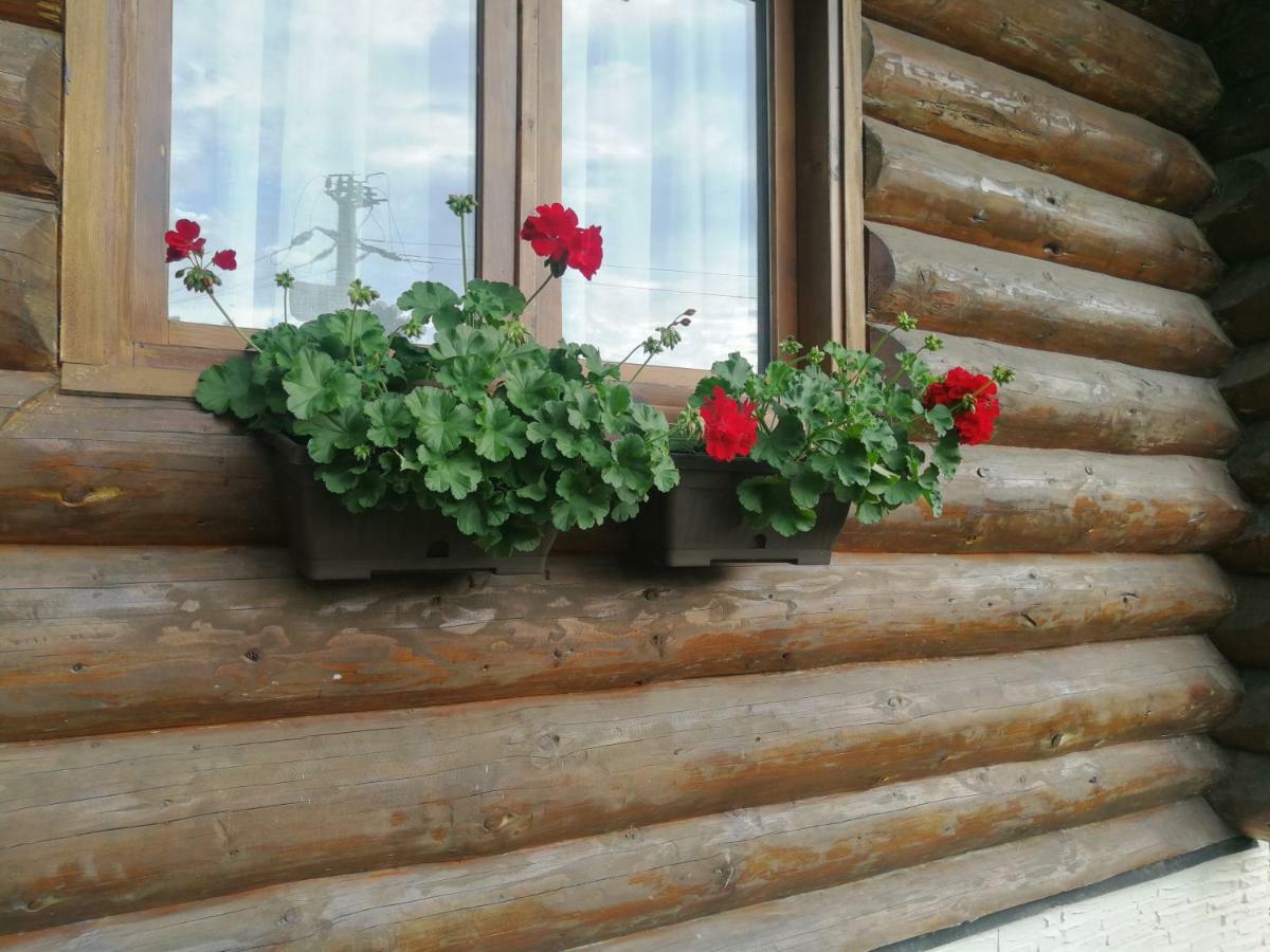 Cabana Rustic Balea Кирцишоара Екстер'єр фото